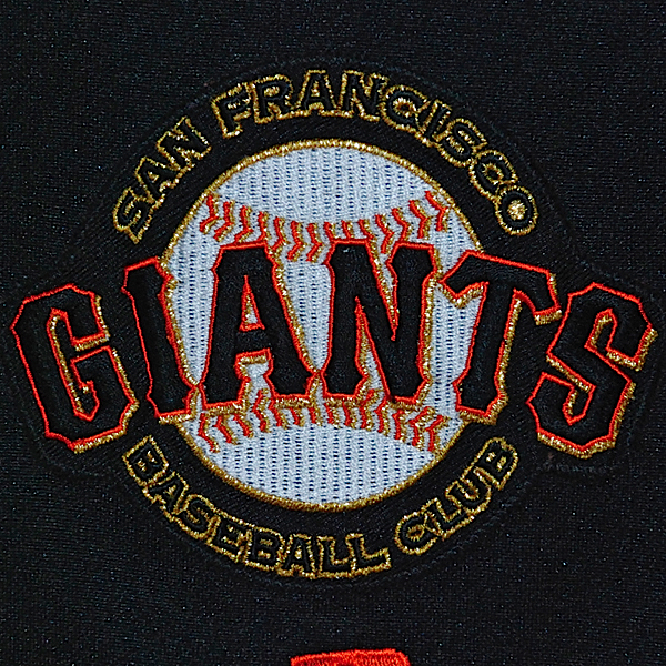 Lot Detail - 2002 Barry Bonds San Francisco Giants Game-Used