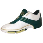 Circa 2003 Lebron James St. Vincent- St. Mary High School Game-Used Sneaker 