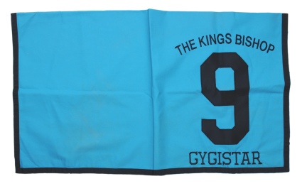 2002 Gygistar Winning Kings Bishop Saddle Cloth