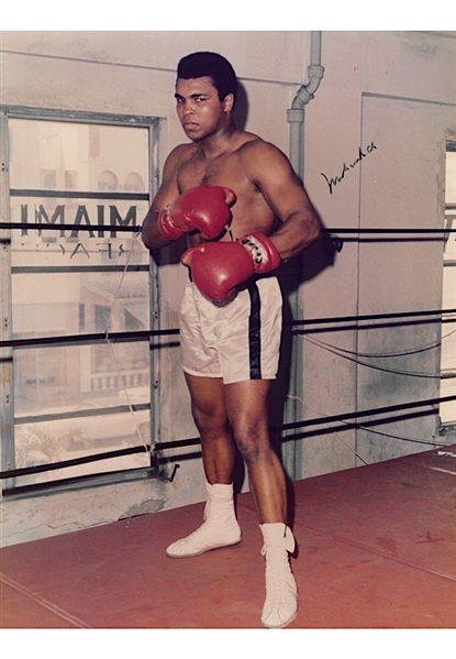 Muhammad Ali Autographed 11x14 Color Photo (Full JSA)
