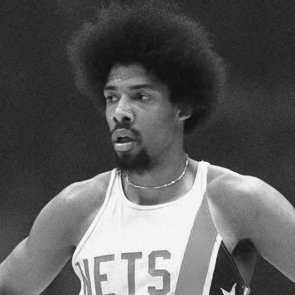 Julius Erving Basketball Hall of Fame