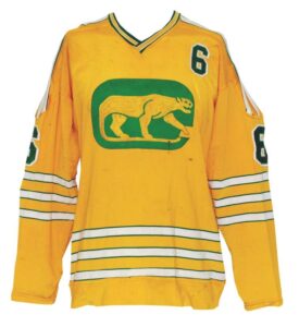 1973-74 Reggie Flemming Chicago Cougars WHA Game-Used Jersey