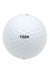 Actual Golf Ball Used By Tiger Woods To Hole Out & Win The 2005 Masters