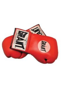 Francois Botha Fight-Worn Gloves