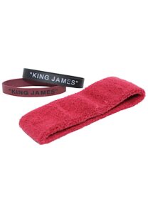 LeBron James Cleveland Cavaliers Game-Used Headband & Wristbands