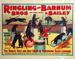 Lot of Framed and Unframed Circus Posters