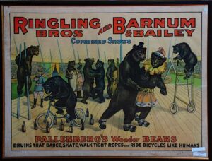 Lot of Vintage Circus Posters