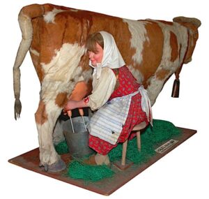 Mechanical Dairy Cow with Milking Maid